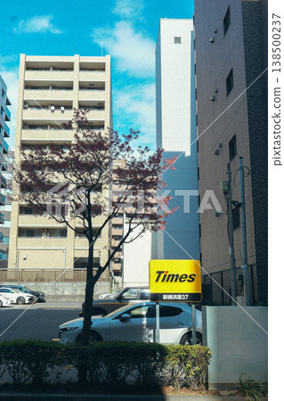 城市裡的櫻花 城市裡的櫻花 138500237
