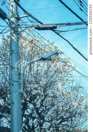 Fists wrapped around utility poles Fists wrapped around utility poles 138500255