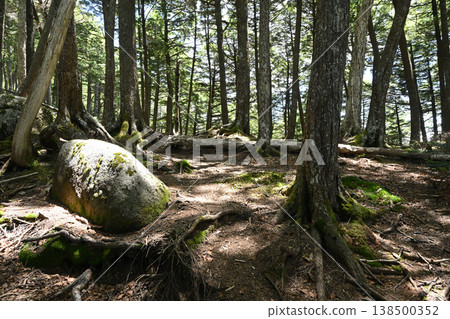 攀登小布希岳(長野縣、山梨縣、埼玉縣) 攀登小布希岳(長野縣、山梨縣、埼玉縣) 138500352