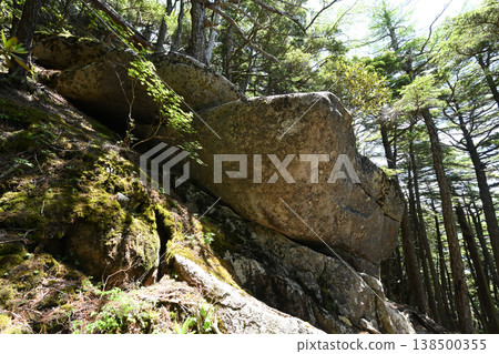 攀登小布希岳（長野縣、山梨縣、埼玉縣） 138500355