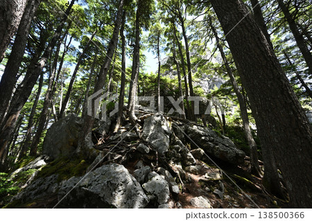 攀登小布希岳（長野縣、山梨縣、埼玉縣） 138500366