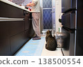 cat waiting for food 138500554