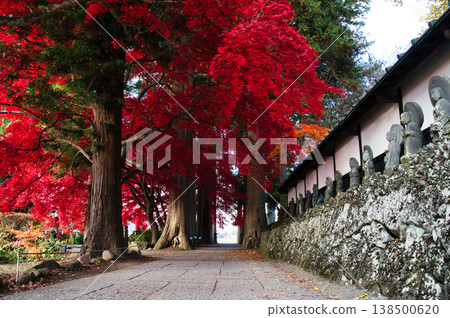 Autumn leaves of Choenji 138500620