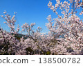 The world's best cherry blossoms at Takato Castle Ruins Park 138500782