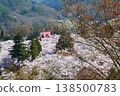 Sea of cherry blossoms over Takato Castle Ruins Park 138500783