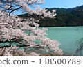 Takato Dam and cherry blossoms 138500789