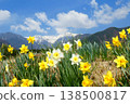 Narcissus and Central Alps 138500817