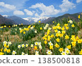 Narcissus and Central Alps 138500818