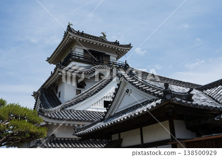 Kochi Castle Kochi Castle 138500929