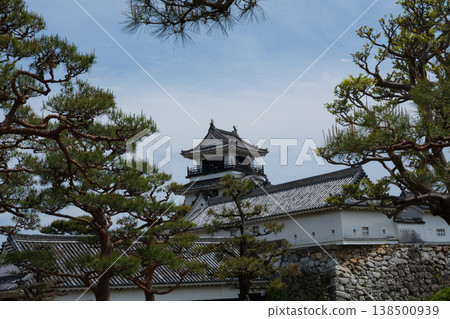 高知城 高知城 138500939