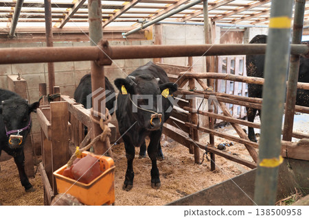 dairy dairy 138500958