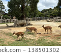 The lives of nyalas and rhinos 138501302