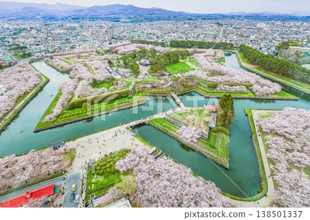 【函館，五稜郭】五稜郭公園櫻花盛開 138501337
