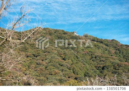 Iwakuni Castle 138501706