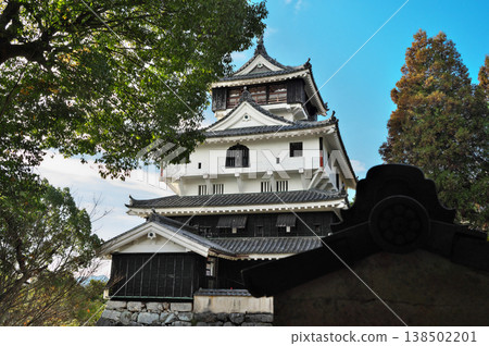 Iwakuni Castle 138502201