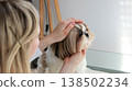 A girl combs and tidies up the beautiful face of a Shih Tzu dog. 138502234