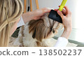 A girl combs and tidies up the beautiful face of a Shih Tzu dog. 138502237