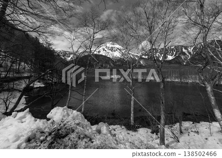 Winter in forest Japan Winter in forest Japan 138502466
