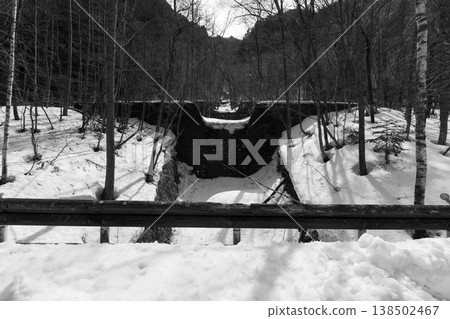 Winter in forest Japan 138502467