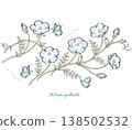 Butterflies were attracted by the scent of nemophila flowers and flew in. 138502532