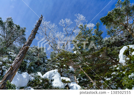 長野縣北橫岳冬季登山景色:白雪皚皚的山景。 長野縣北橫岳冬季登山景色:白雪皚皚的山景。 138502555