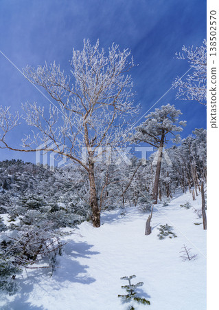 冬季登山遊覽長野縣北橫岳:白雪皚皚的八嶽山脈景色。 冬季登山遊覽長野縣北橫岳:白雪皚皚的八嶽山脈景色。 138502570