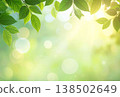 A dazzling background of fresh green leaves 138502649