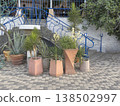 Plants arranged near stairs at a garden area 138502997