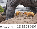 A photograph of an ancient mammal monument in the west exit plaza of JR Fukui Station. 138503086