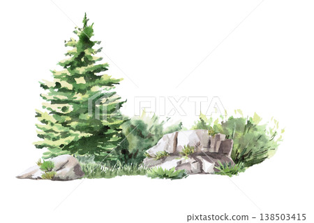 A landscape with a fluffy spruce tree, bushes, and large rocks. Isolated watercolor illustration for websites about nature, ecology, landscape design, as well as educational and children's books. 138503415