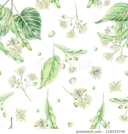 A seamless pattern with linden flowers and branches on a white background. This isolated watercolor illustration is suitable for pharmaceutical, menu, cosmetic, and eco-friendly product designs. A seamless pattern with linden flowers and branches on a white background. This isolated watercolor illustration is suitable for pharmaceutical, menu, cosmetic, and eco-friendly product designs. 138503749