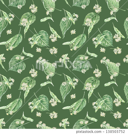 A seamless pattern with linden flowers and leaves on a green background. This isolated watercolor illustration is suitable for pharmaceutical design, menus, cosmetics, and eco-friendly products. A seamless pattern with linden flowers and leaves on a green background. This isolated watercolor illustration is suitable for pharmaceutical design, menus, cosmetics, and eco-friendly products. 138503752