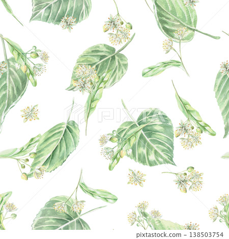 A seamless pattern with linden flowers and leaves on a white background. This isolated watercolor illustration is suitable for pharmaceutical, menu, cosmetic, and eco-friendly product designs. 138503754