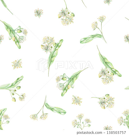 A seamless pattern with linden flowers on a white background. This isolated watercolor illustration is suitable for pharmaceutical, menu, cosmetic, and eco-friendly product designs. 138503757