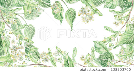 Rectangular frame with linden blossoms. Isolated watercolor illustration for pharmaceutical, cosmetic, and eco-friendly product design. Rectangular frame with linden blossoms. Isolated watercolor illustration for pharmaceutical, cosmetic, and eco-friendly product design. 138503760