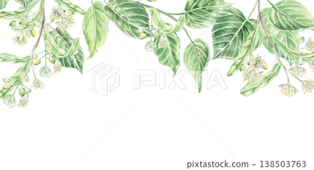 A rectangular frame with a blossoming linden tree at the top. Isolated watercolor illustration for pharmaceutical, cosmetic, organic, beverage, and food product designs. A rectangular frame with a blossoming linden tree at the top. Isolated watercolor illustration for pharmaceutical, cosmetic, organic, beverage, and food product designs. 138503763
