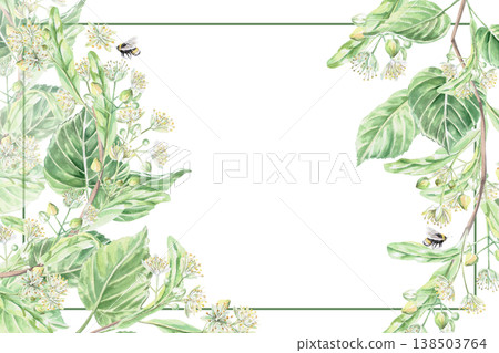 A rectangular frame with a blooming linden tree. Isolated watercolor illustration for pharmaceutical, cosmetic, organic, beverage, and food product designs. A rectangular frame with a blooming linden tree. Isolated watercolor illustration for pharmaceutical, cosmetic, organic, beverage, and food product designs. 138503764
