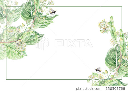 A rectangular frame with linden tree branches, leaves, and flowers, along with a bee. Isolated watercolor illustration for pharmaceutical, cosmetic, organic, beverage, and food product designs. A rectangular frame with linden tree branches, leaves, and flowers, along with a bee. Isolated watercolor illustration for pharmaceutical, cosmetic, organic, beverage, and food product designs. 138503766