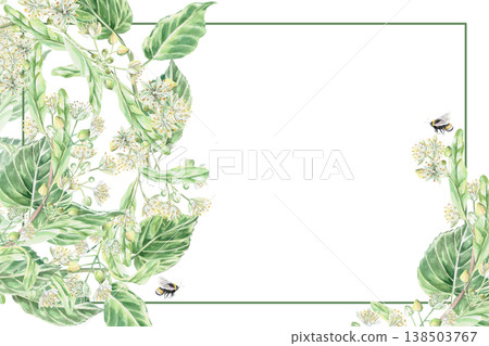 A rectangular frame with linden branches and flowers and a bee. Isolated watercolor illustration for pharmaceutical, cosmetic, organic, beverage, and food product designs. A rectangular frame with linden branches and flowers and a bee. Isolated watercolor illustration for pharmaceutical, cosmetic, organic, beverage, and food product designs. 138503767