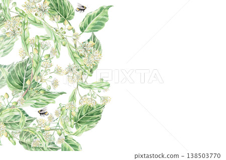 A rectangular frame with linden branches and a bee. Isolated watercolor illustration for pharmaceutical, cosmetic, organic, beverage, and food product designs. A rectangular frame with linden branches and a bee. Isolated watercolor illustration for pharmaceutical, cosmetic, organic, beverage, and food product designs. 138503770