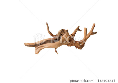 Old dry driftwood tree branch on an isolated white background Old dry driftwood tree branch on an isolated white background 138503831