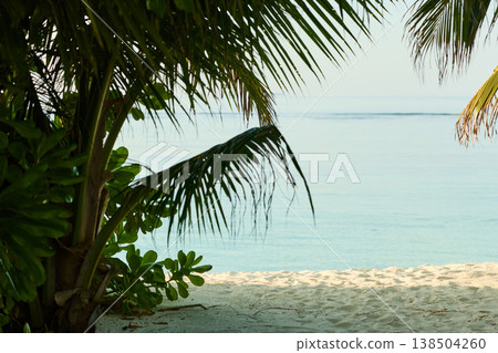 Classic Maldives island landscape on a sunset, azure water, white sand, palm trees on the shore 138504260