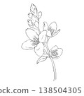 Jasmine branch with flowers and buds, line art graphic illustration in minimalist style. Illustration for coloring pages, botanical posters, logos, packaging and print design. 138504305