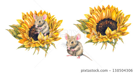 Watercolor illustration set brown mouse sitting in yellow sunflower painted in realistic and charming countryside style. Illustration for childrens products packaging textiles stickers and eco decor. Watercolor illustration set brown mouse sitting in yellow sunflower painted in realistic and charming countryside style. Illustration for childrens products packaging textiles stickers and eco decor. 138504306