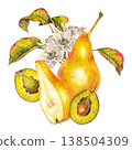 Watercolor illustration of yellow pear, sliced plums and pear blossom with colorful leaves. Illustration for food packaging, juice branding, kitchen textiles, wellness and organic product design. 138504309