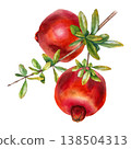 Watercolor illustration with two ripe red pomegranates hanging on a branch with green leaves. for packaging, cosmetics, magazines, greeting cards, wall posters, food design and seasonal promotions. 138504313