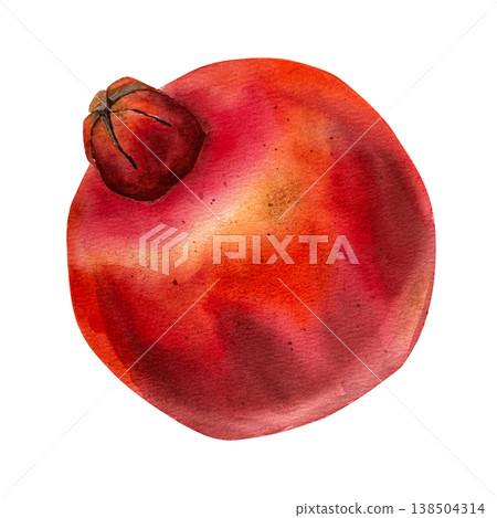 Watercolor illustration of a whole red pomegranate with crown in botanical style with soft transitions and realistic texture. for packaging, superfood branding cosmetics autumn or Halloween projects. Watercolor illustration of a whole red pomegranate with crown in botanical style with soft transitions and realistic texture. for packaging, superfood branding cosmetics autumn or Halloween projects. 138504314