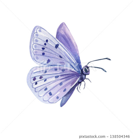 Blue purple butterfly watercolor clipart isolated on light background with spotted wings and delicate spring style Blue purple butterfly watercolor clipart isolated on light background with spotted wings and delicate spring style 138504346