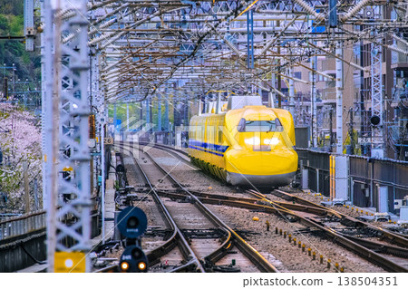 Unusual and new scenes of Yokohama, Japan. Collaboration with cherry blossoms. Doctor Yellow arriving at Shin-Yokohama Station. 138504351