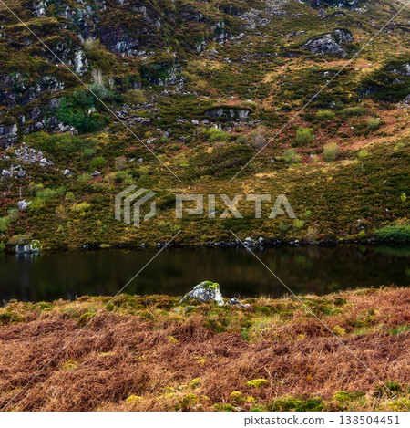 Still dark water rests peacefully at the base of a rugged hill. The slope is covered in dense vegetation, featuring rich green mosses and extensive fields of autumnal brown ferns, under soft daylight. Still dark water rests peacefully at the base of a rugged hill. The slope is covered in dense vegetation, featuring rich green mosses and extensive fields of autumnal brown ferns, under soft daylight. 138504451